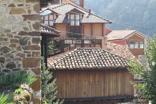 2014 03 cocidos remona 004