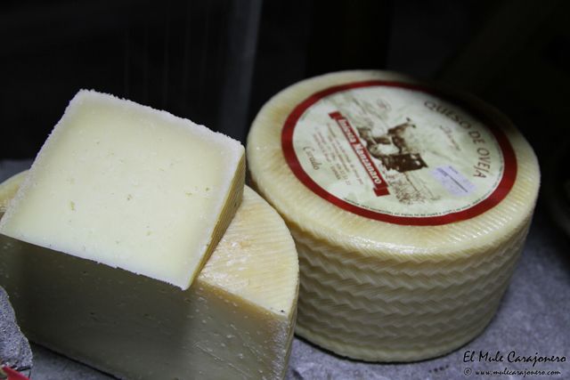 2014 03 oveja jarradilla 009