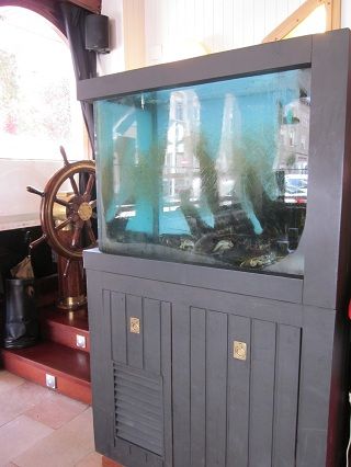 2011_06_lamarina_002