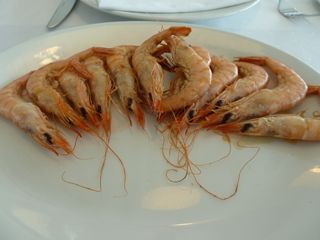 2012 07 luzmela pesquero 004