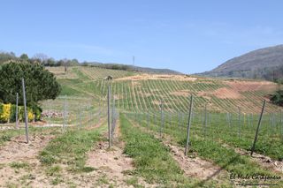 2014 04 behetria cieza 005