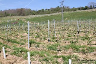 2014 04 behetria cieza 011