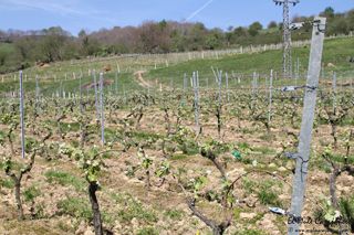 2014 04 behetria cieza 015