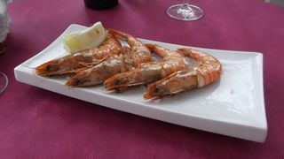 2014 04 estanque gama 017