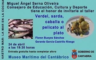 image taller mmc sarda