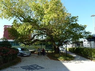 2012 10 carolinas 002