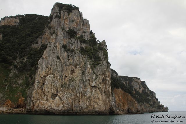 2014 05 anchoa bahia 018