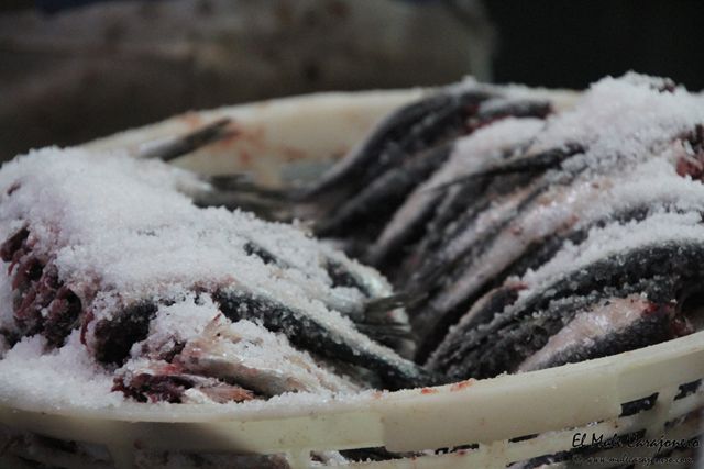 2014 05 anchoa elaborancion 019