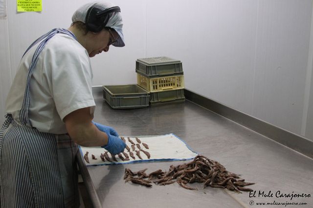 2014 05 anchoa elaborancion 024