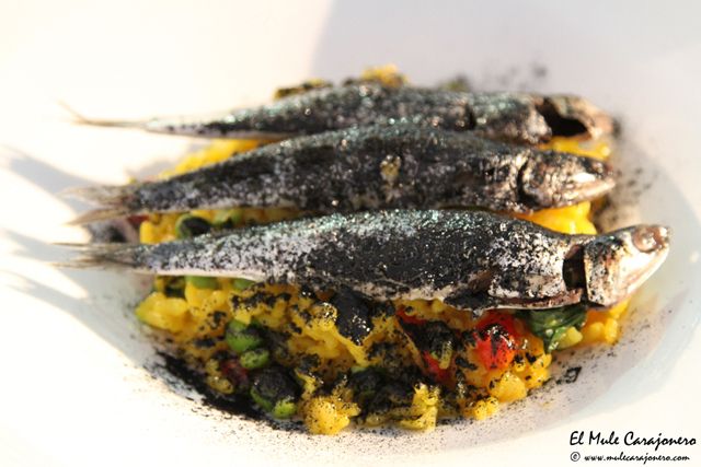 2014 05 anchoa mclass 058
