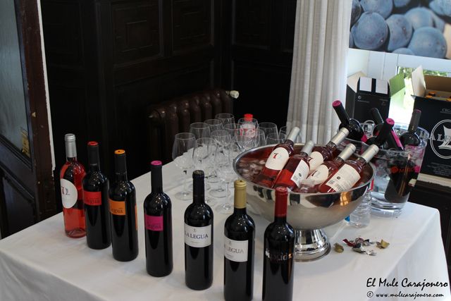 2014 05 cata la legua 003