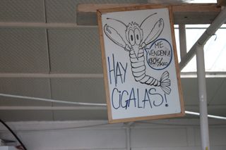 2009 10 chiringo puntal 010