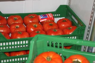 2009 10 chiringo puntal 022