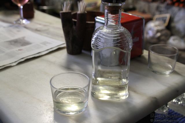 2014 03 abuelo teja  003