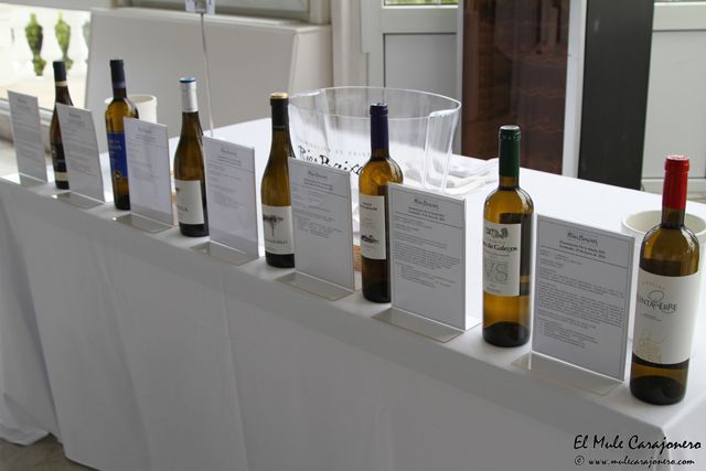 2014 06 albarino 2013 024