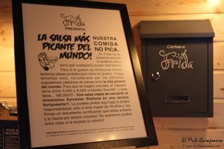 2014 07 frida 011