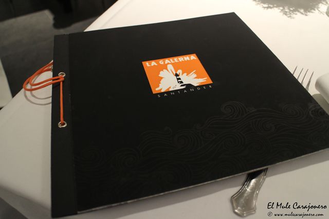 2014 07 galerna 008