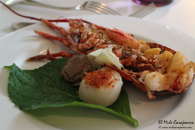 2014 08 deluz kaiseki 007