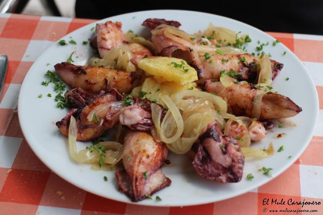2014 08 taberna campo 023