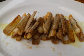 2014 01 baruco fonso 002