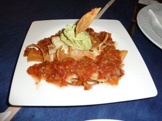 2012 03 agave azul 013