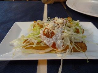 2012 03 agave azul 015