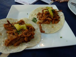 2012 03 agave azul 017