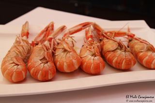 2014 07 galeon somo 008