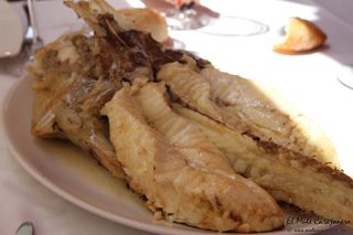 2014 07 galeon somo 016