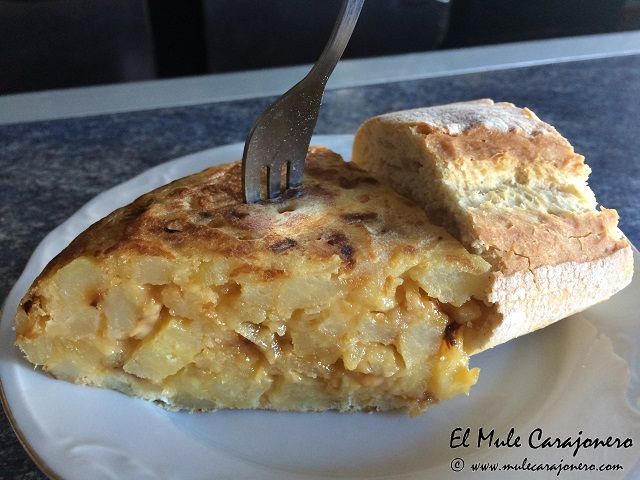 2014 10 tortilla d 001