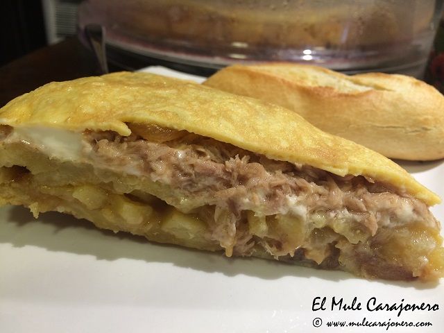 2014 10 tortilla stylo 001