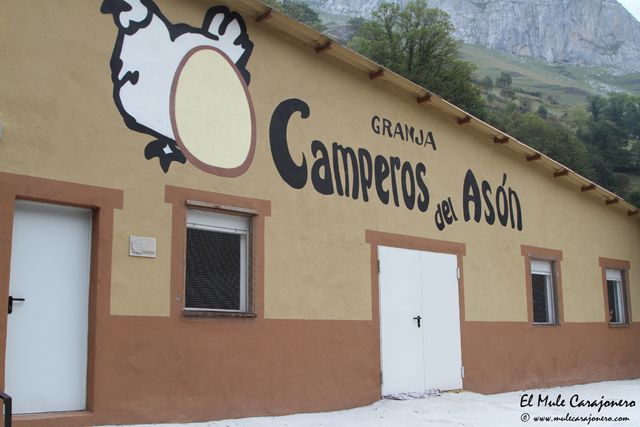 2014 camperos ason 001
