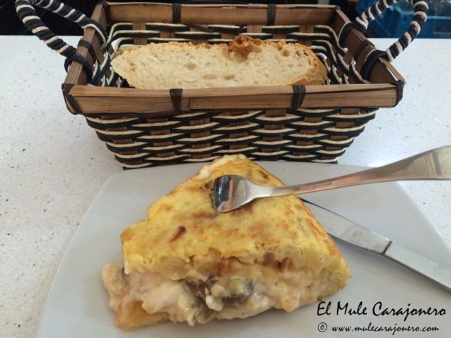 2014 tortilla cantabria 001