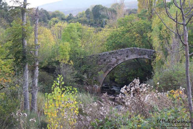 2014 10 casuca 002