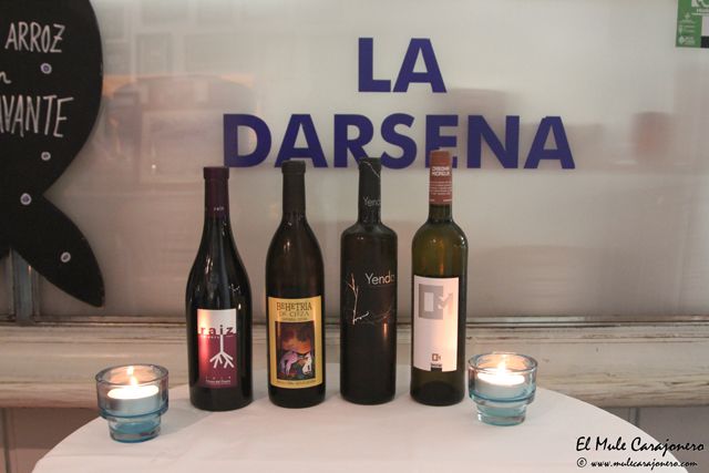 2014 11 darsena ronquero 004