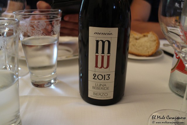 2014 11 oso cosgalla 006