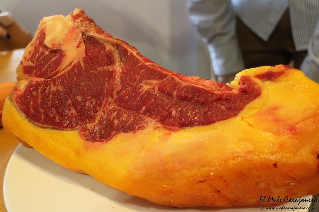 2014 11 pericote gargantua 009