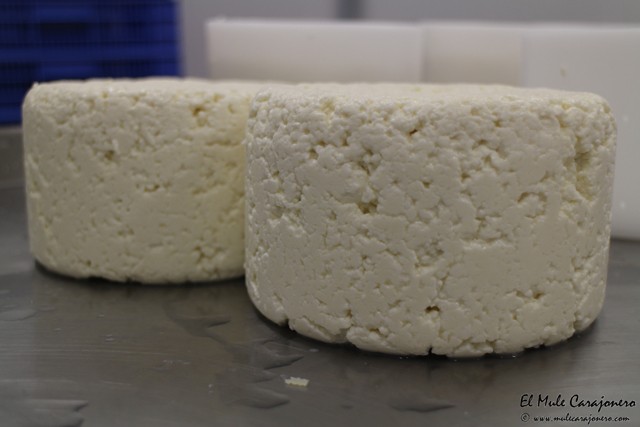 2014 11 quesria milagros 001