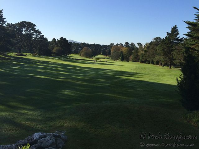 2014 golf pedrena 005