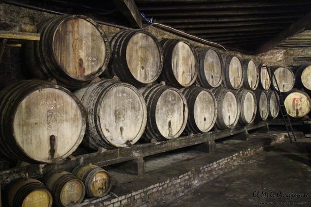 2014 11 bodegas corral 002