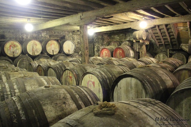 2014 11 bodegas corral 004