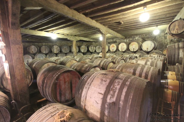 2014 11 bodegas corral 010