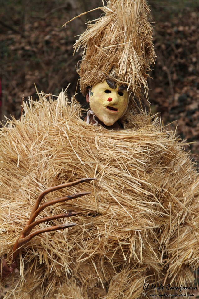 2014 11 vijanera 2015 003