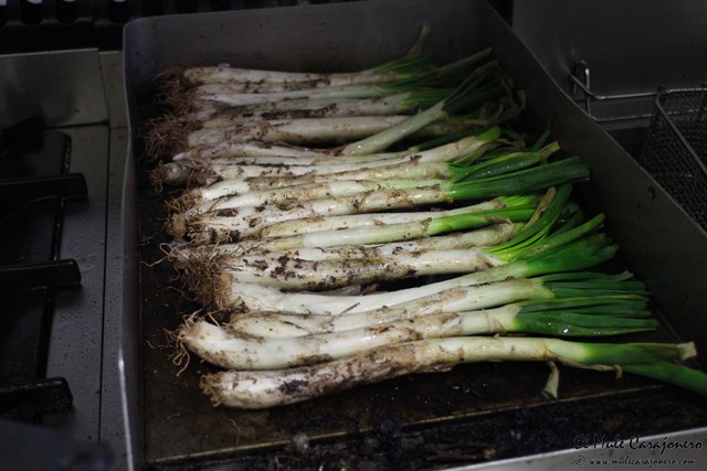 2015 01 calcots melly 001