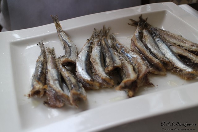 2015 01 calcots melly 014