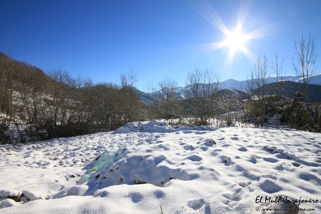2015 01 invernal ignacio 003