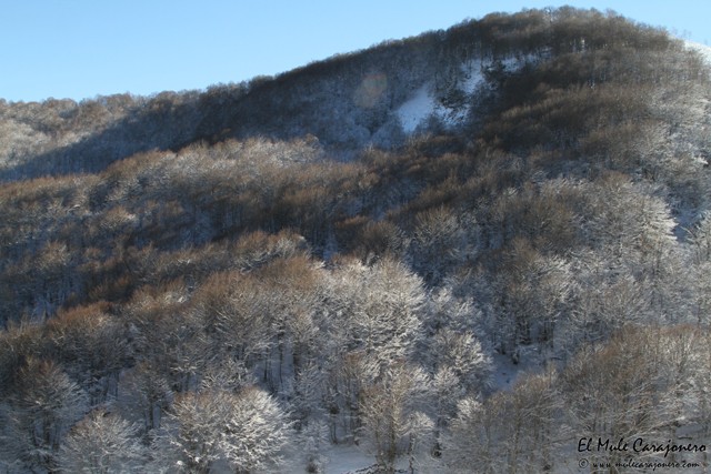 2015 01 invernal ignacio 004