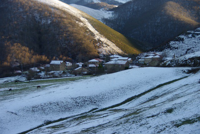 2015 01 lonbrana 001
