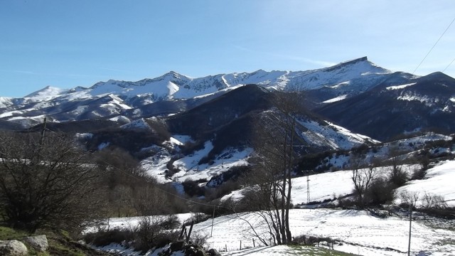 2015 01 pejanda molleda 004