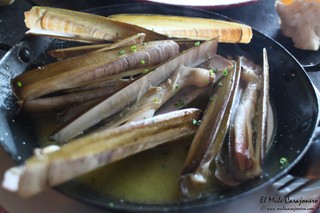 2015 01 rincon vicen 010